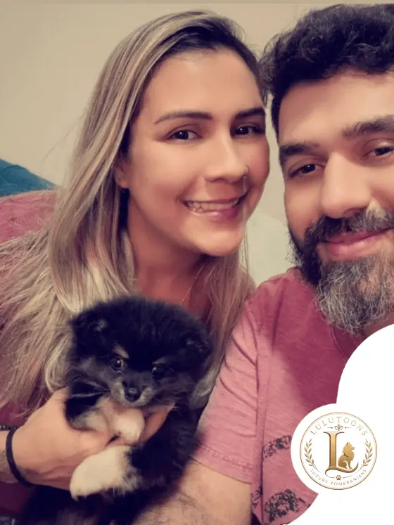 Tutora recebendo seu filhote de Lulu da Pomerânia