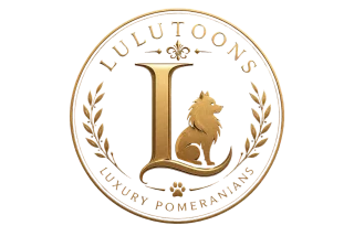 Canil Lulu Toons